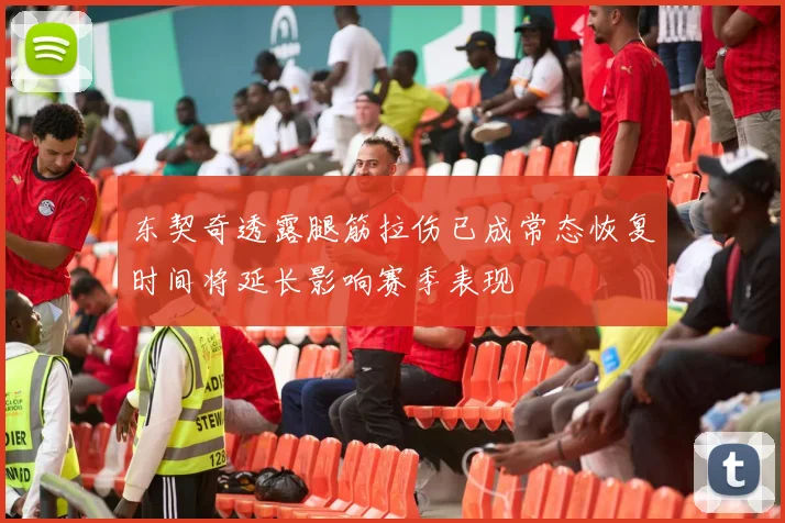 东契奇透露腿筋拉伤已成常态恢复时间将延长影响赛季表现