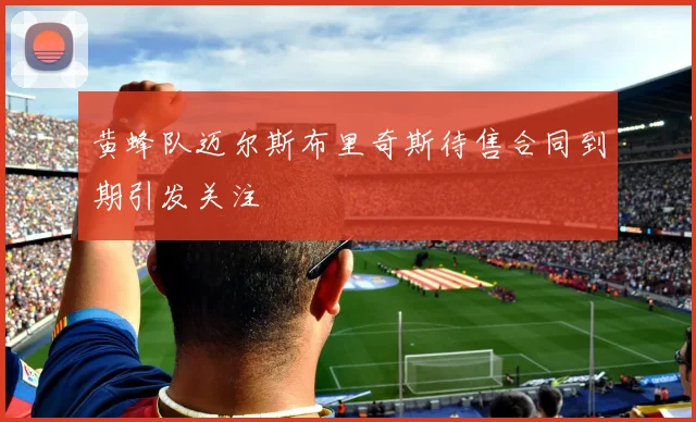 黄蜂队迈尔斯布里奇斯待售合同到期引发关注