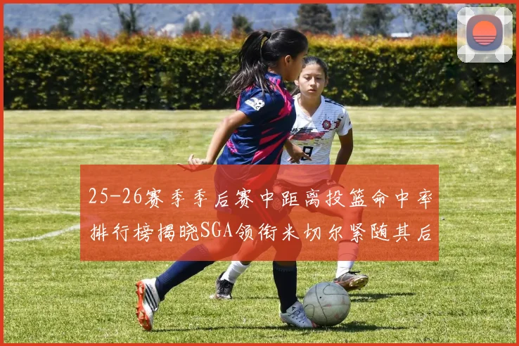 25-26赛季季后赛中距离投篮命中率排行榜揭晓SGA领衔米切尔紧随其后哈登位列第五