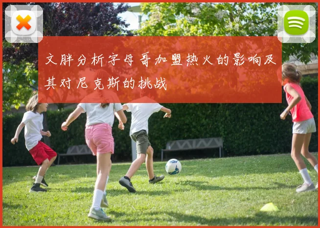 文胖分析字母哥加盟热火的影响及其对尼克斯的挑战