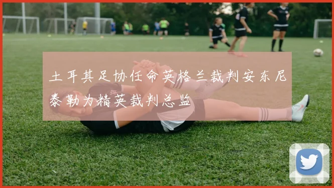 土耳其足协任命英格兰裁判安东尼泰勒为精英裁判总监